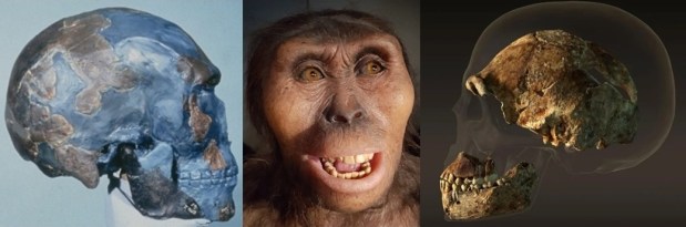 Qué es la Paleoantropología Digital