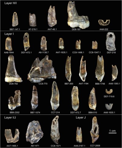 Registro cultural de 45 ka en Bacho Kiro