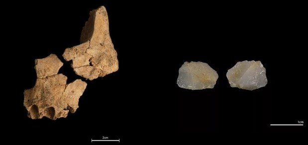 Una cara humana de 1,4 millones de años en Europa&nbsp;occidental
