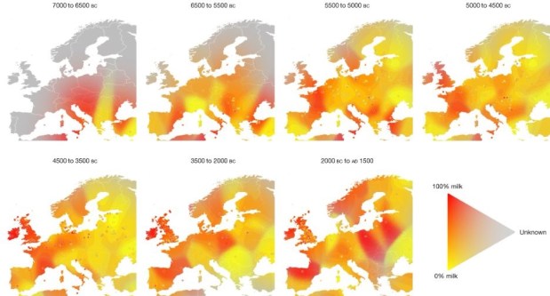 Un ejemplo clásico de evolución: la tolerancia a la lactosa. ¿Por qué&nbsp;surgió?