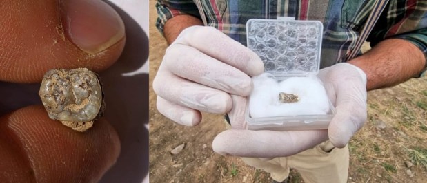 El resto humano más antiguo de Eurasia fuera de&nbsp;Dmanisi