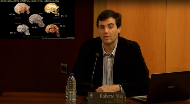 Homínidos, de Olduvai a&nbsp;Europa