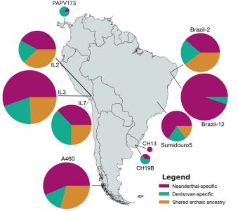 Rastro genético neandertal y denisovano en Sudamérica