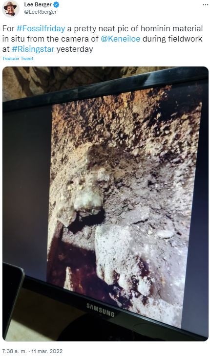 A pretty neat pic of hominin material in situ during fieldwork at Rising Star cave system