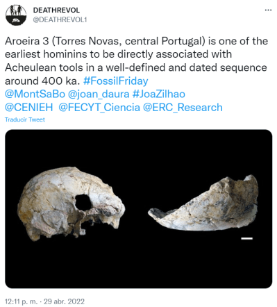 Aroeira 3 (Torres Novas, central Portugal) is one of the earliest hominins to be directly associated with Acheulean tools in a well-defined and dated sequence around 400 ka.