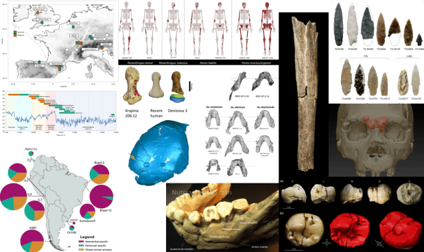 Paleoantropología: novedades 4º trimestre&nbsp;2022