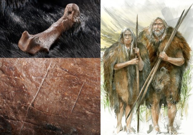 Uso de piel de oso para protección hace 300.000&nbsp;años