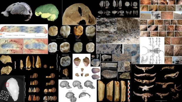 Paleoantropología: novedades 1er trimestre 2023