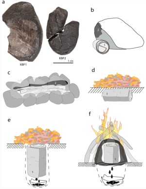 Brea de abedul de Königsaue y técnicas de producción experimentales