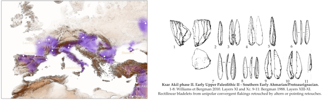 Oleada 3 de humanos modernos en Europa occidental: industria protoauriñaciense