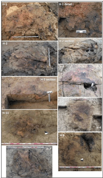 Restos de fuego de 245 ka en Valdecarros II