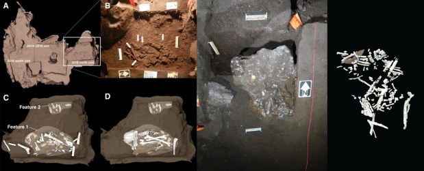 ¿Enterramientos y grabados rupestres realizados por Homo&nbsp;naledi?