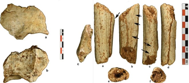 Fragmentos de frontal y de tibia de Homo sapiens procedentes de Tam Pà Ling (norte de Laos) 