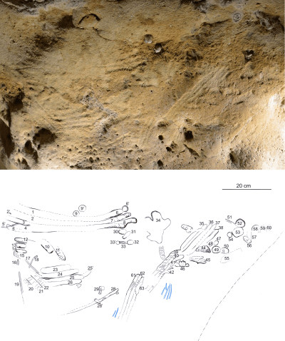 Uno de los paneles de grabados neandertales en La Roche-Cotard