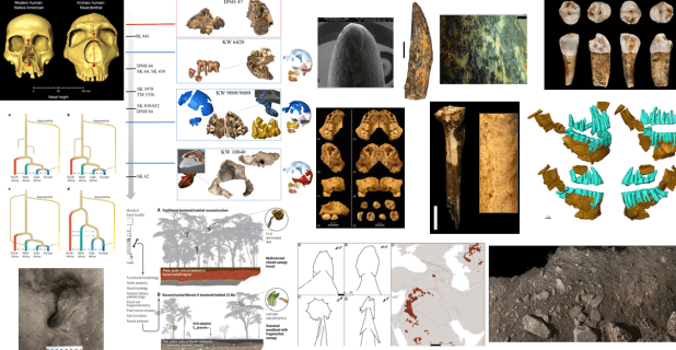 Paleoantropología: novedades 2º trimestre&nbsp;2023