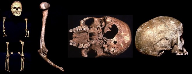 Esqueleto, brazo izquierdo y cráneo de Romito 2