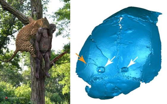 Calota de SK54 (crédito: Jesse M. Martin et al, 2022) y reconstrucción artística