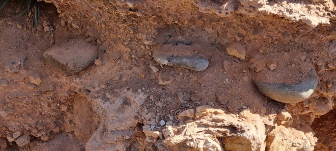Piedras usadas en el Abrigo 3 del Complejo Humo para cocinar conservadas en un estrato del periodo musteriense