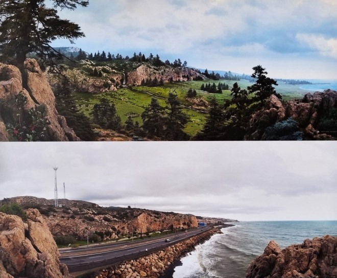 Recreación paleoambiental del Complejo Humo en base a dataciones y datos palinológicos. Comparativa con el aspecto actual.