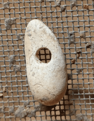 Cuenta de collar del período neolítica hallada en el abrigo 6 de la Araña