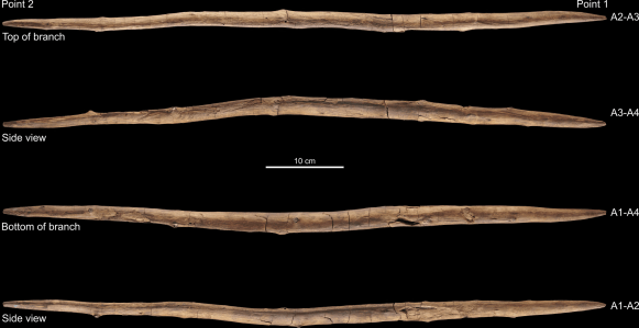 Palo de madera de doble punta de Schöningen