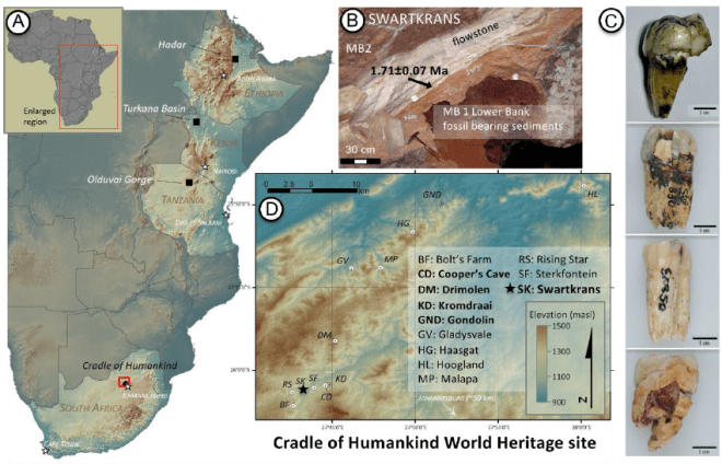Localización de Swartkrans y especímenes de Paranthropus robustus SK 835, SK 830, SK 850, SK 14132