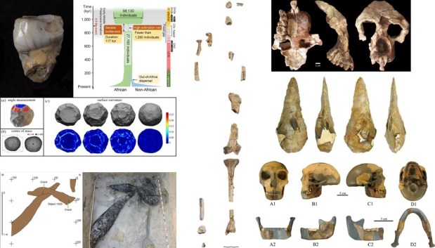 Paleoantropología: novedades 3er trimestre&nbsp;2023