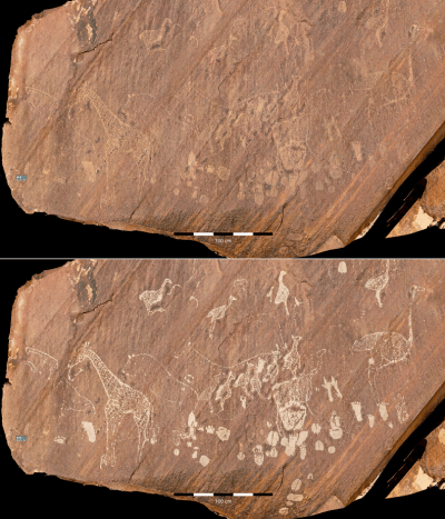 Representaciones de jirafas y avestruces extraordinariamente detalladas