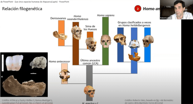 Las cinco especies humanas de&nbsp;Atapuerca