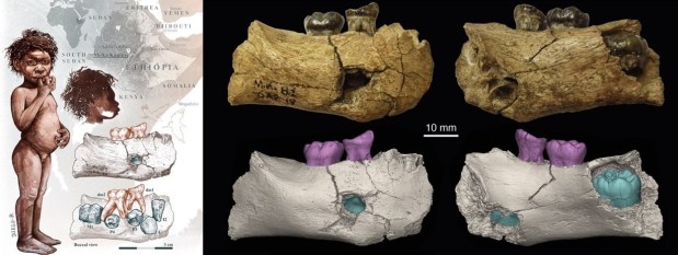 Más o menos claridad en los orígenes de Homo: el niño erectus de Melka Kunture y la primera tecnología&nbsp;achelense