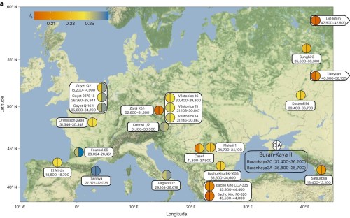 Relación de Buran-Kaya III con otros genomas europeos