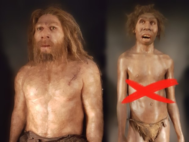 Homo erectus achaparrados