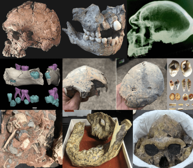 The Top 10 hominin #FossilFriday posts of&nbsp;2023