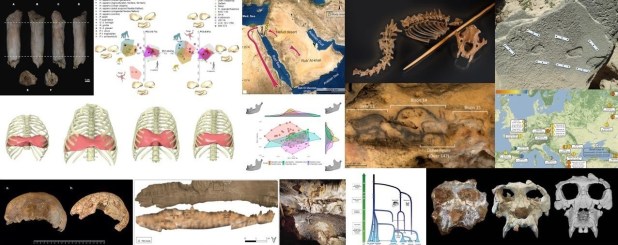 Paleoantropología: novedades 4º trimestre&nbsp;2023