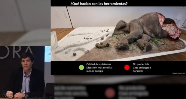 La gran aventura de la evolución&nbsp;humana