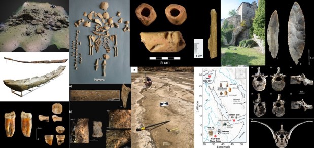 Paleoantropología: novedades 1er trimestre&nbsp;2024