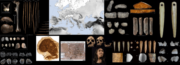 Paleoantropología: novedades 2º trimestre&nbsp;2024