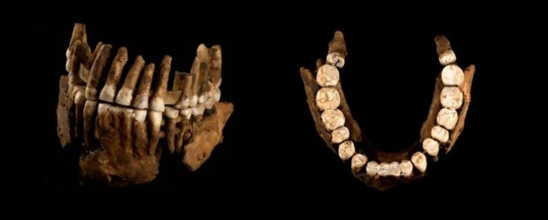 Thorin, ¿realmente neandertales&nbsp;solitarios?