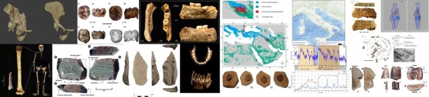Paleoantropología: novedades 3er trimestre&nbsp;2024