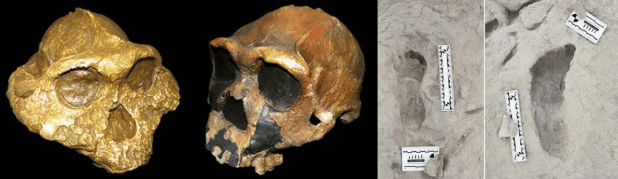 Humanos y parántropos cruzándose por el&nbsp;camino