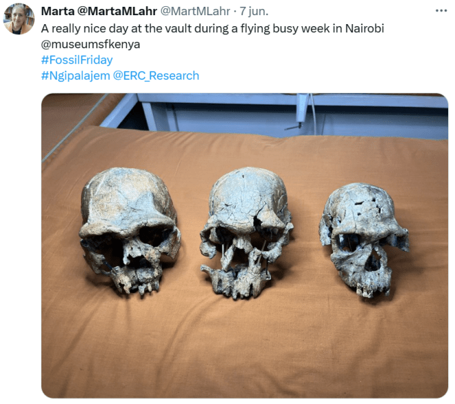 Kenya hominin skulls