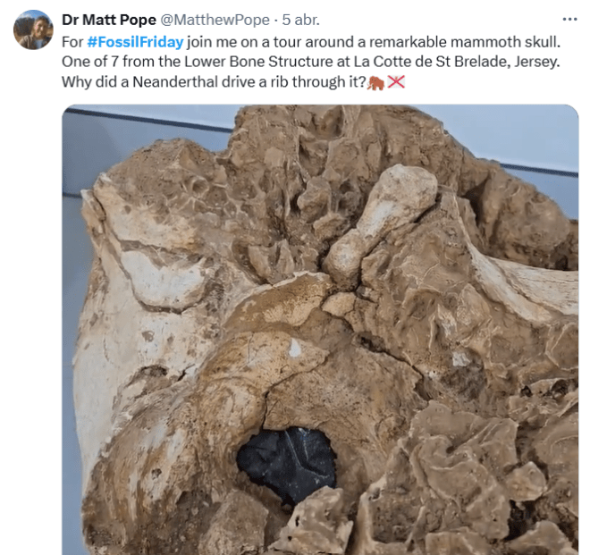 Mammoth La Cotte de St Brelade