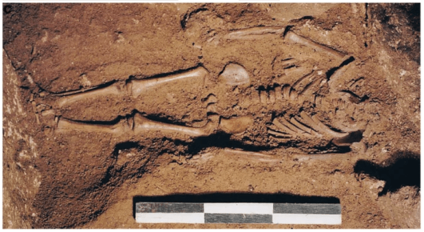 La rica historia del niño paleolítico Le Mura&nbsp;1