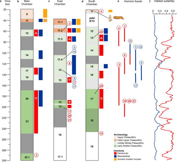 Prehistoria de los homininos que ocuparon la cueva&nbsp;Denisova