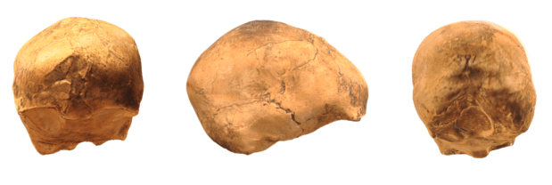 Skhul 1: un cráneo infantil con indicios de&nbsp;hibridación