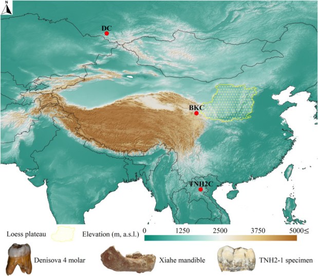 Paleoantropología: novedades 3er trimestre&nbsp;2025