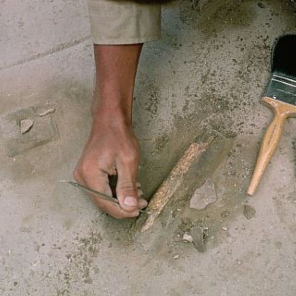 Entrevista en Marca España (Radio&nbsp;Exterior)