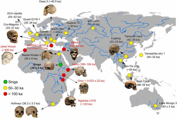 Paleoantropología: novedades 1er trimestre&nbsp;2026