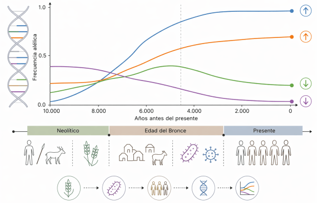 Nuevas señales de selección natural: la evolución humana continúa ¿y se&nbsp;acelera?