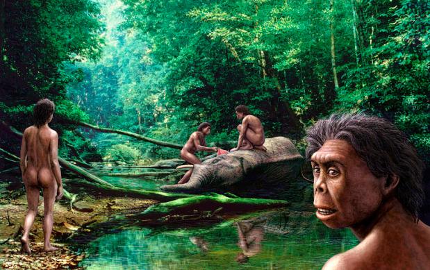 Homo floresiensis: ¿cazador o&nbsp;carroñero?
